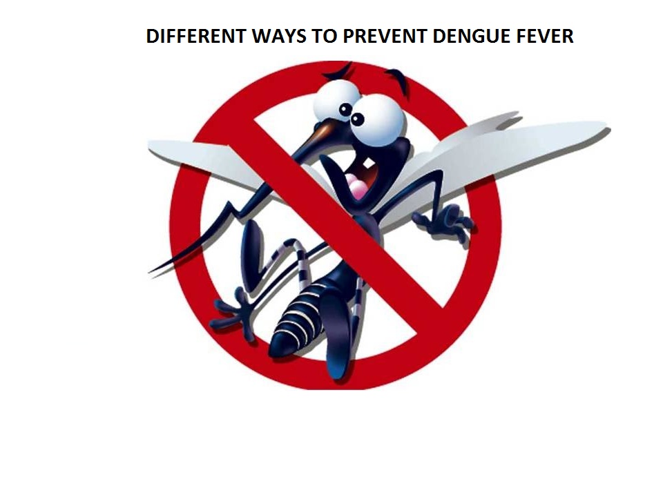 easy-ways-to-prevent-dengue-fever-ayurhealth