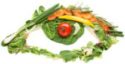Foods that Increase Your EyeSight